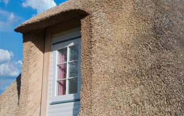 Sortat thatch roof disadvantages